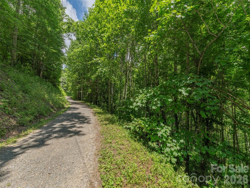 0000 Rough Knob Rd, Clyde, NC 28721