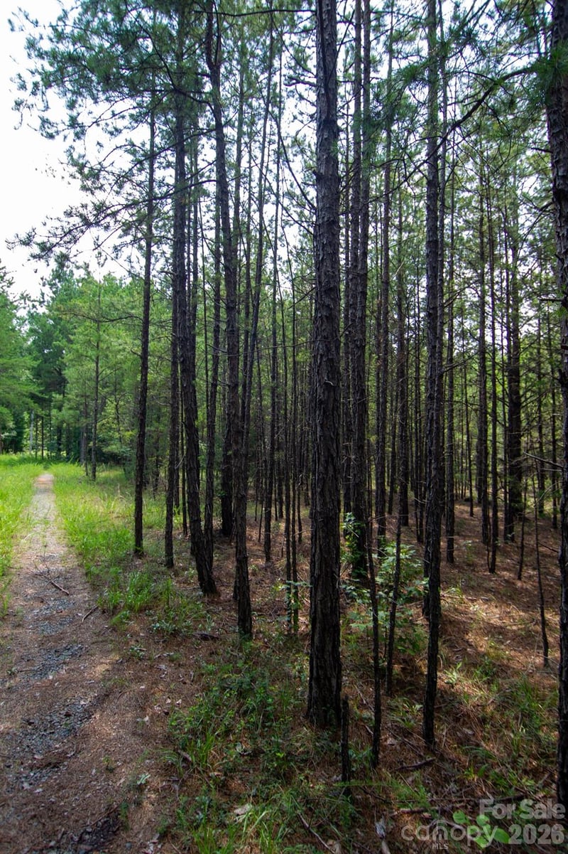 2682 Cold Springs Rd, Concord, NC 28025