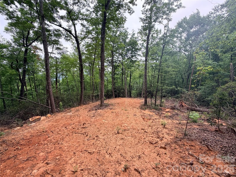 Harrison Dr, Lake Lure, NC 28746