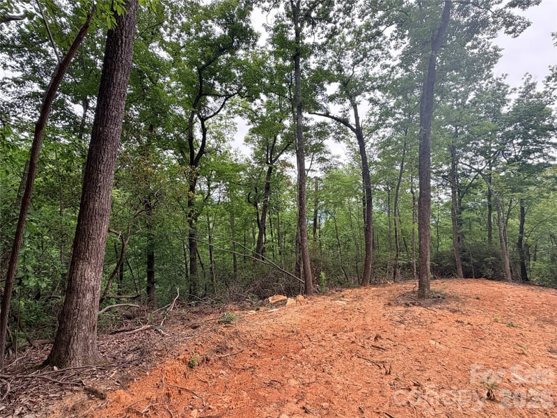 Harrison Dr, Lake Lure, NC 28746