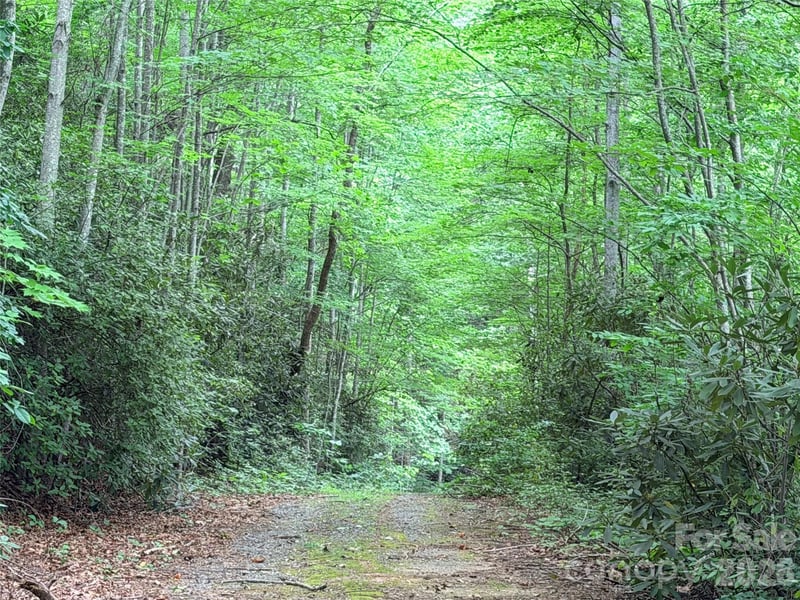 Harrison Dr, Lake Lure, NC 28746