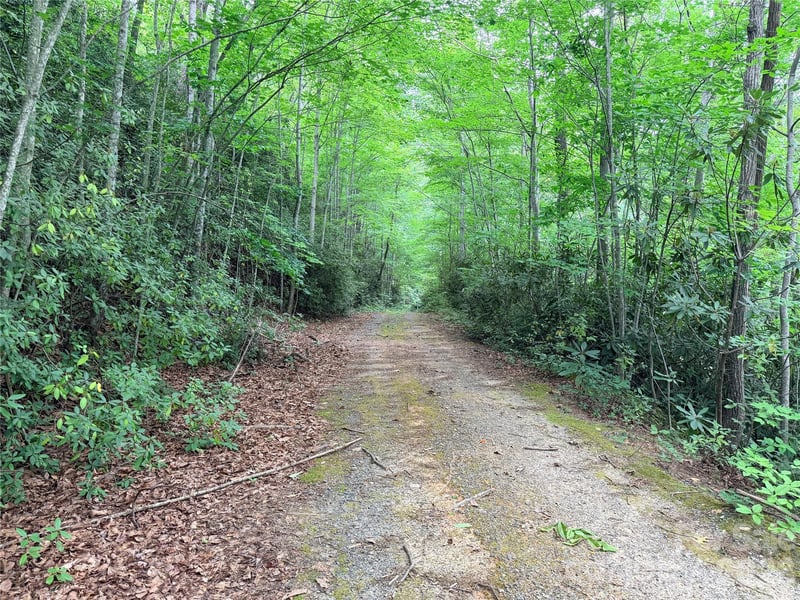 Harrison Dr, Lake Lure, NC 28746