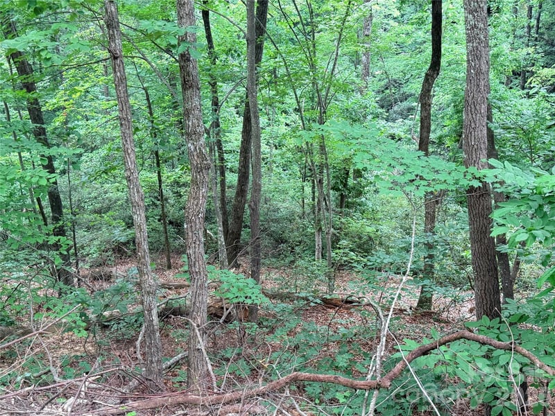 Harrison Dr, Lake Lure, NC 28746
