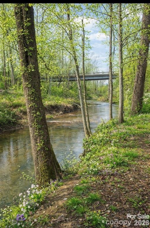 1 Old Mill Ln, Weaverville, NC 28787