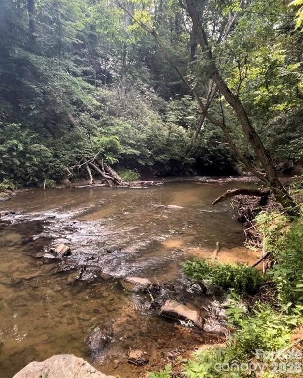1 Old Mill Ln, Weaverville, NC 28787
