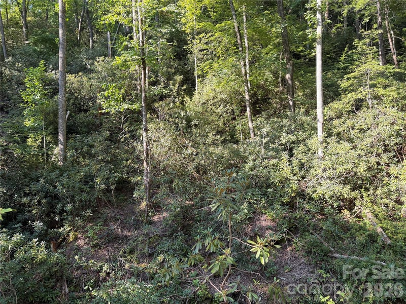 267 Cedar Falls Dr #7, Lake Lure, NC 28746
