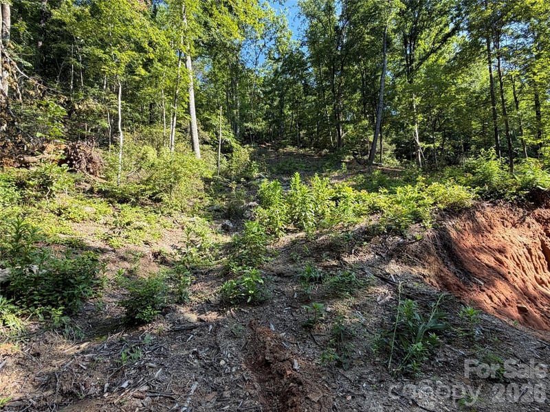 267 Cedar Falls Dr #7, Lake Lure, NC 28746