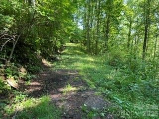 13 Galega Trl, Maggie Valley, NC 28751