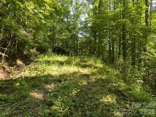 13 Galega Trl, Maggie Valley, NC 28751