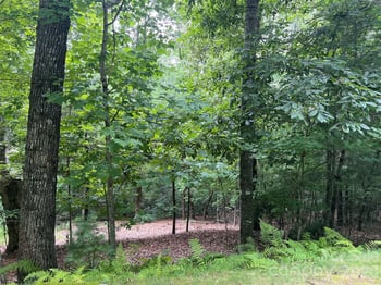 211 Tom Fazio Tc #342, Hendersonville, NC 28739