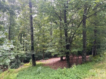 211 Tom Fazio Tc #342, Hendersonville, NC 28739