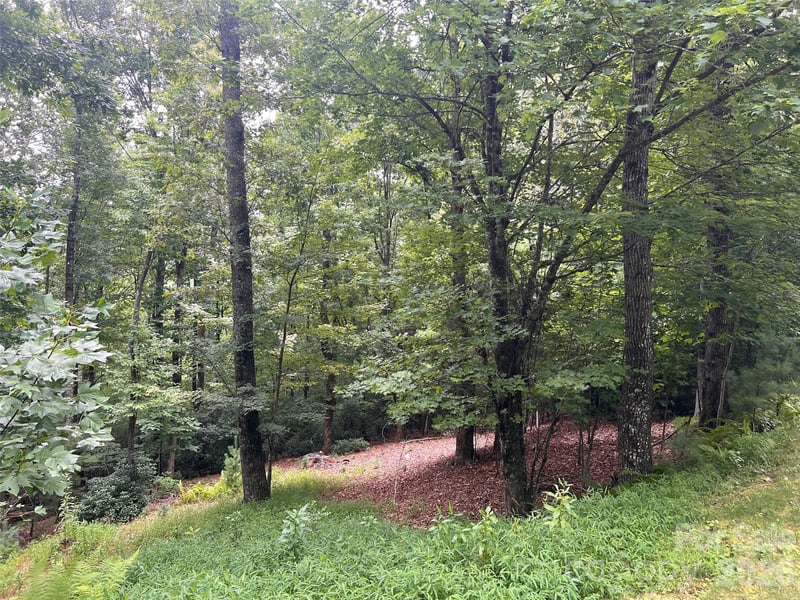 211 Tom Fazio Tc #342, Hendersonville, NC 28739