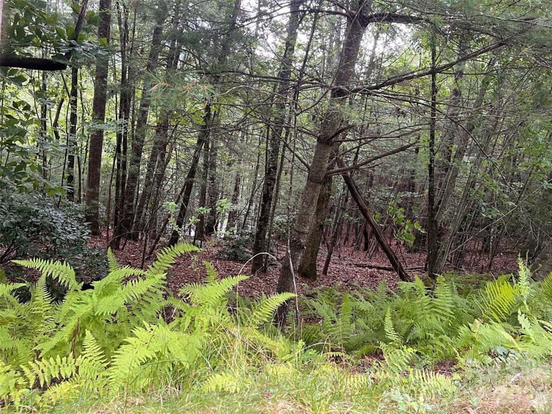 211 Tom Fazio Tc #342, Hendersonville, NC 28739