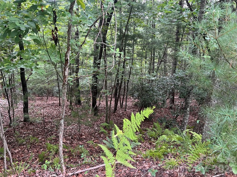 211 Tom Fazio Tc, Hendersonville, NC 28739
