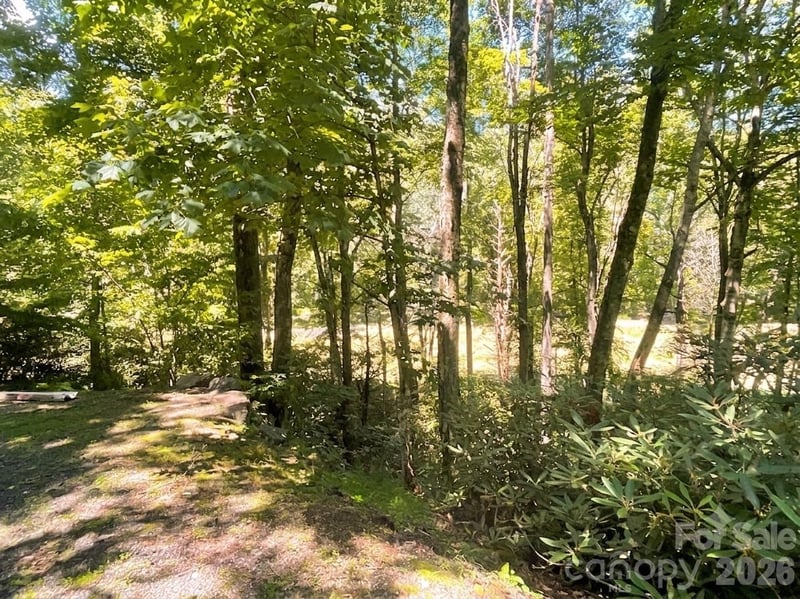 903 Winter Star Loop, Burnsville, NC 28714