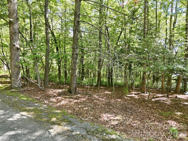 Mulberry Cir #J-104, Brevard, NC 28712