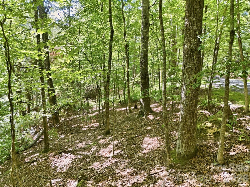 Mulberry Cir #J-104, Brevard, NC 28712