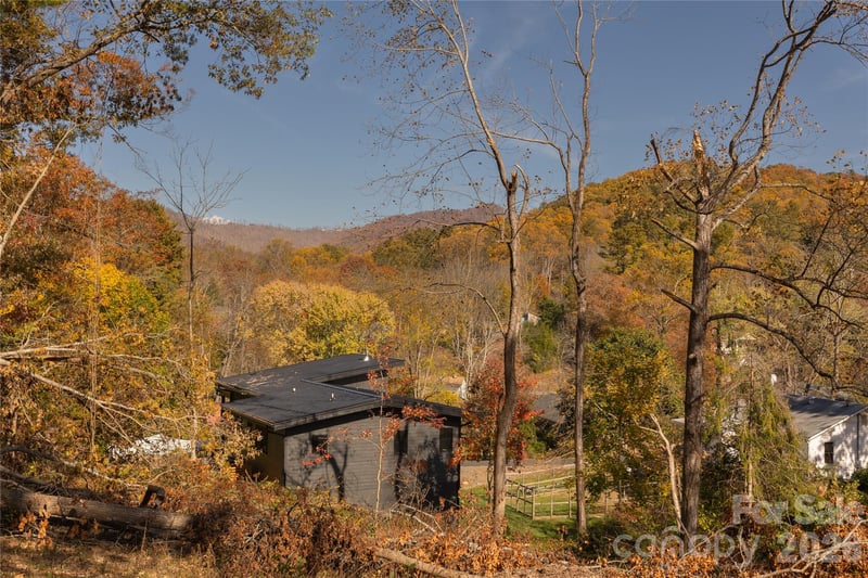 13 Bassett Rd, Asheville, NC 28804