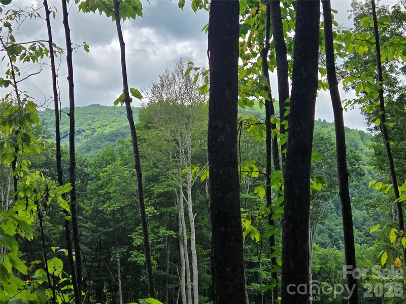 108 Tenderfoot Trl #108 & 109, Maggie Valley, NC 28751