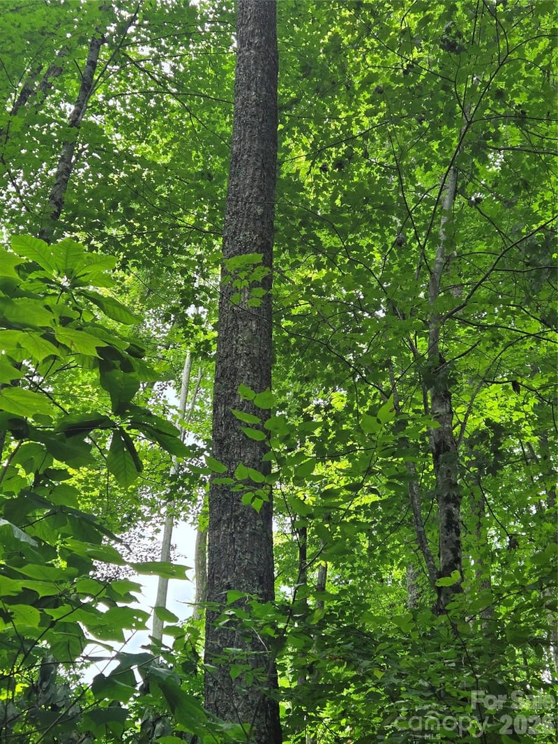 108 Tenderfoot Trl #108 & 109, Maggie Valley, NC 28751
