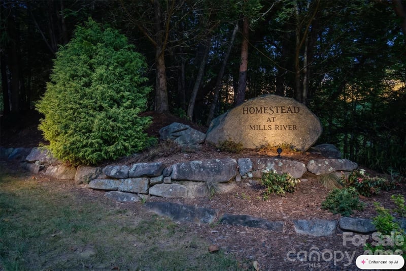 838 Mills River Way, Horse Shoe, NC 28742