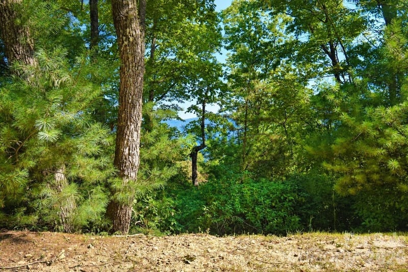 838 Mills River Way, Horse Shoe, NC 28742