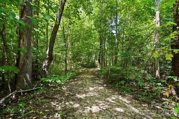 16705 Summers Walk Blvd, Davidson, NC 28036