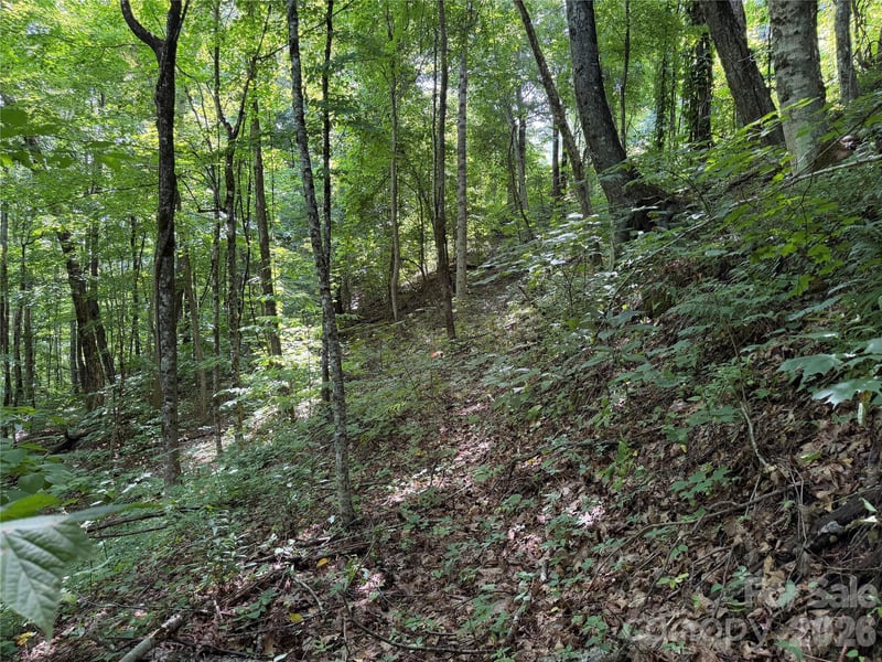 0000 Chimney Ridge Trl, Waynesville, NC 28786