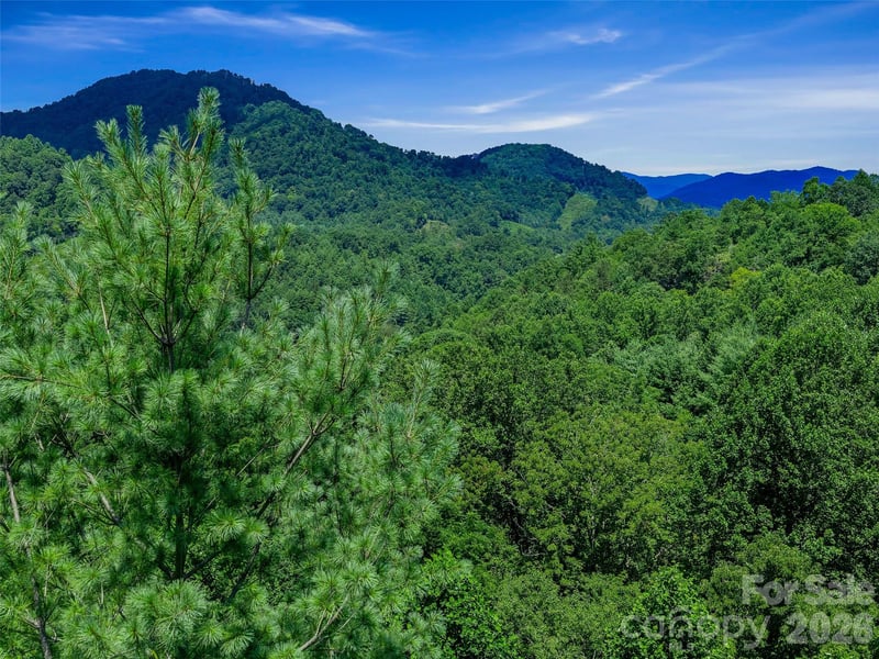 000 Cove Mountain Rd, Burnsville, NC 28714