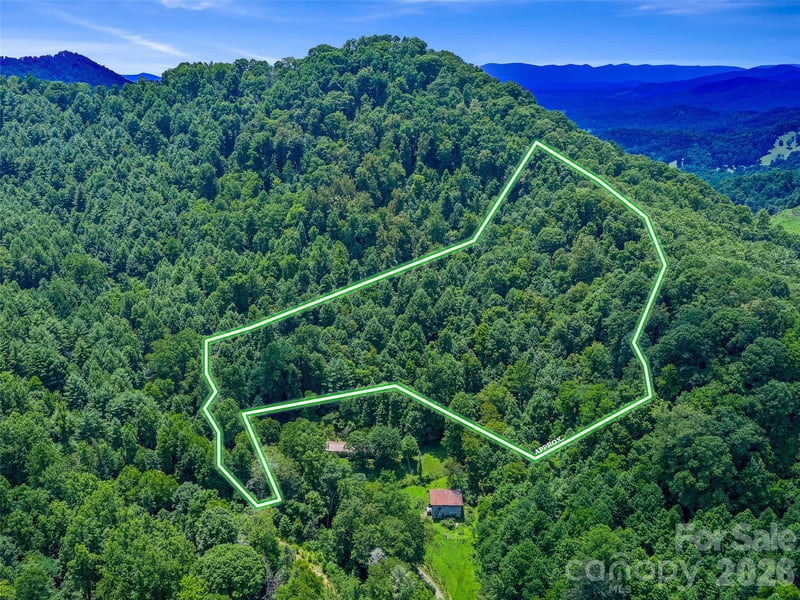 000 Cove Mountain Rd, Burnsville, NC 28714