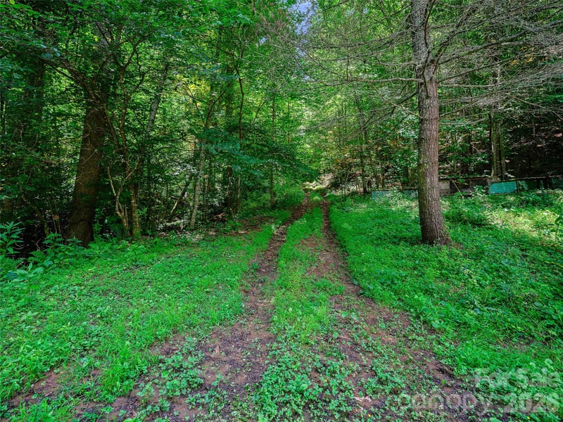 000 Cove Mountain Rd, Burnsville, NC 28714