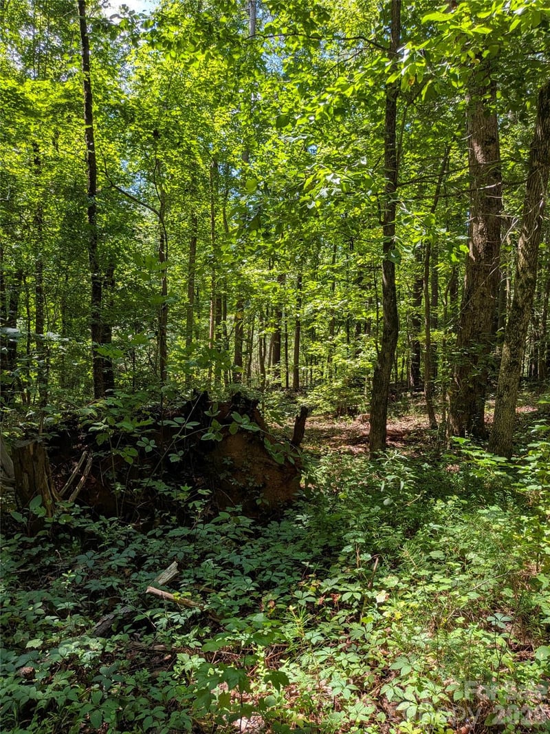 Freedom Mill Rd #9, Gastonia, NC 28052