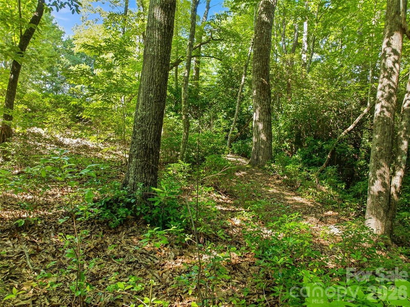 0000 Red Bud Ln #3-F, Laurel Park, NC 28739