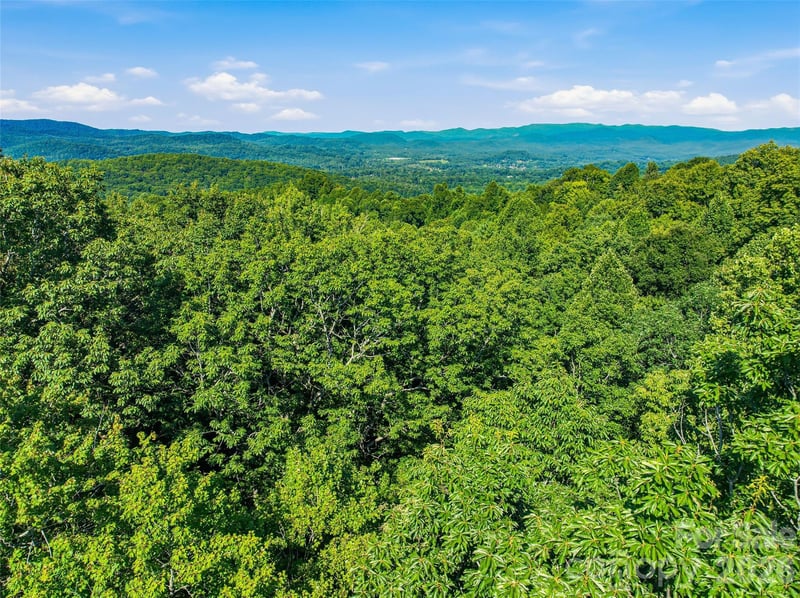 0000 Red Bud Ln #3-F, Laurel Park, NC 28739