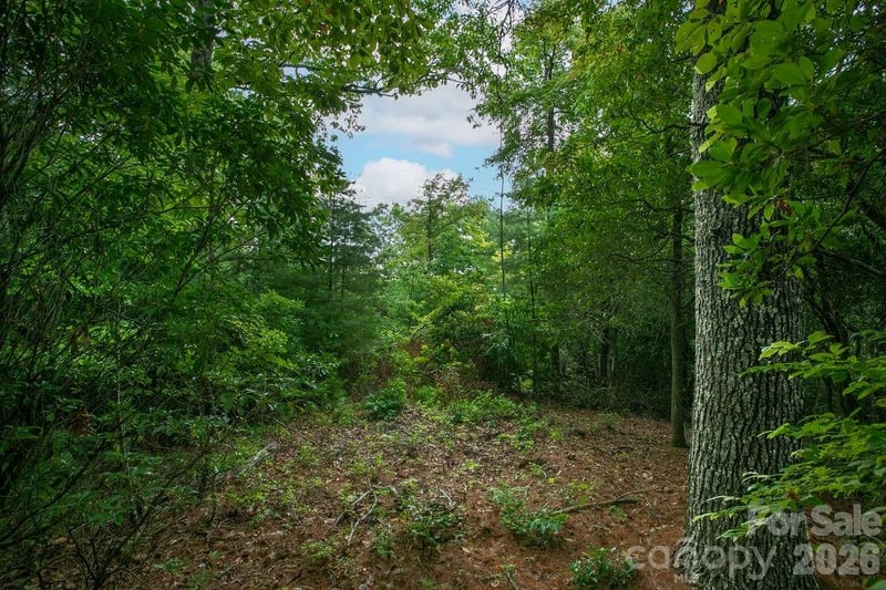 Lot 10 Emma Bri Ln #10, Hendersonville, NC 28739
