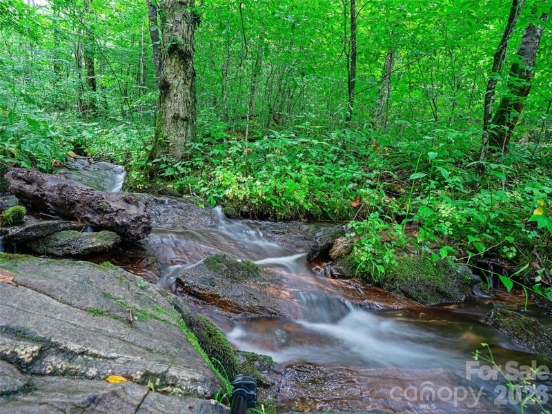 Ogle Meadows Rd #81, Burnsville, NC 28714