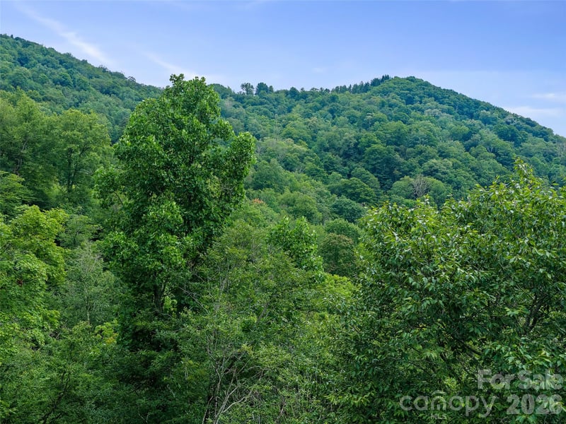 Ogle Meadows Rd #81, Burnsville, NC 28714