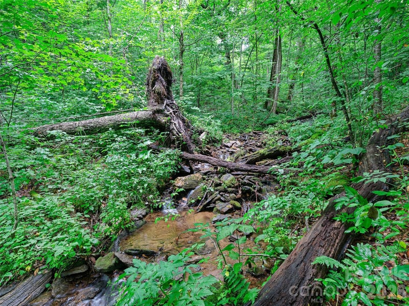 Ogle Meadows Rd #81, Burnsville, NC 28714