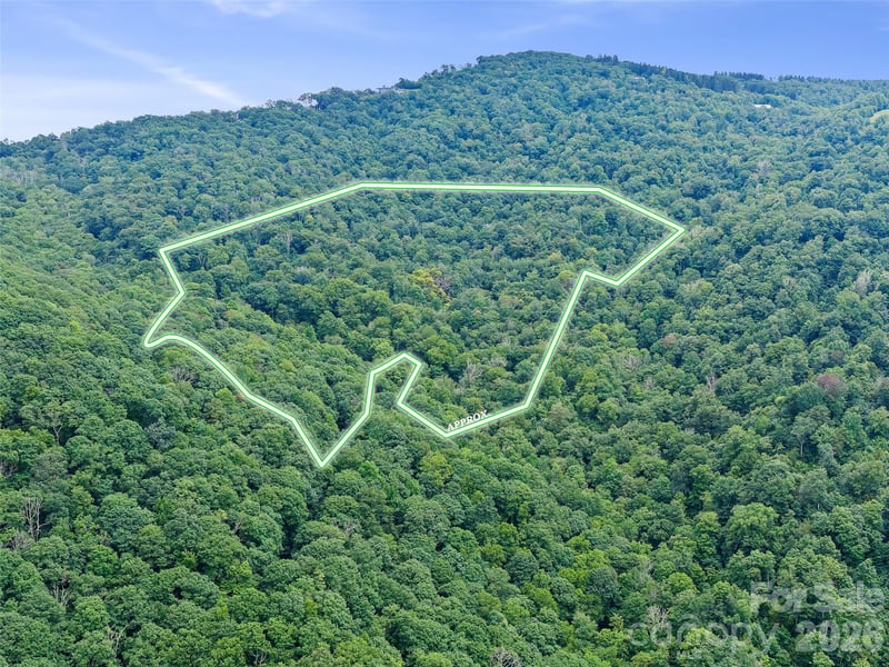 Ogle Meadows Rd #81, Burnsville, NC 28714