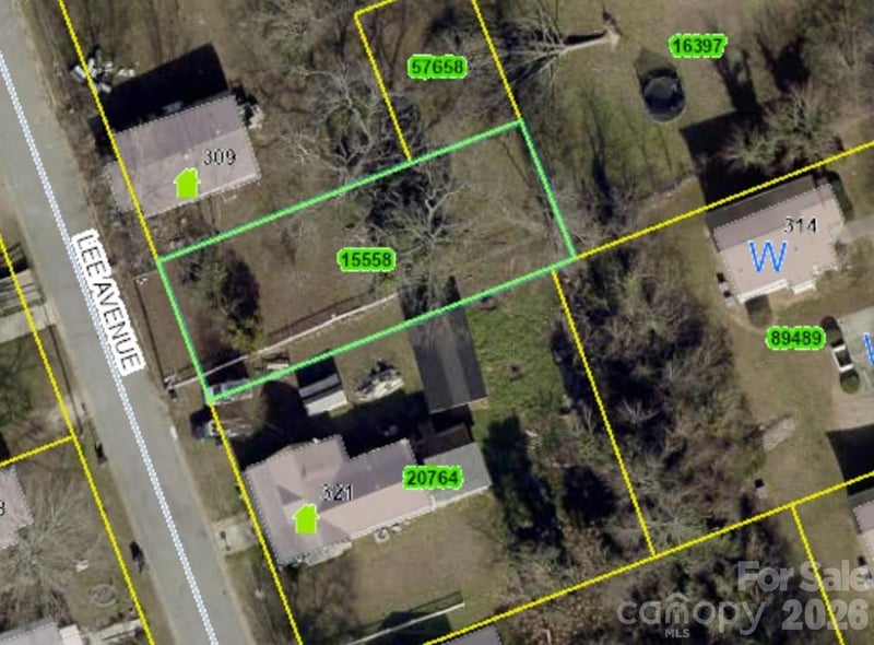 315 Lee Ave, Lincolnton, NC 28092