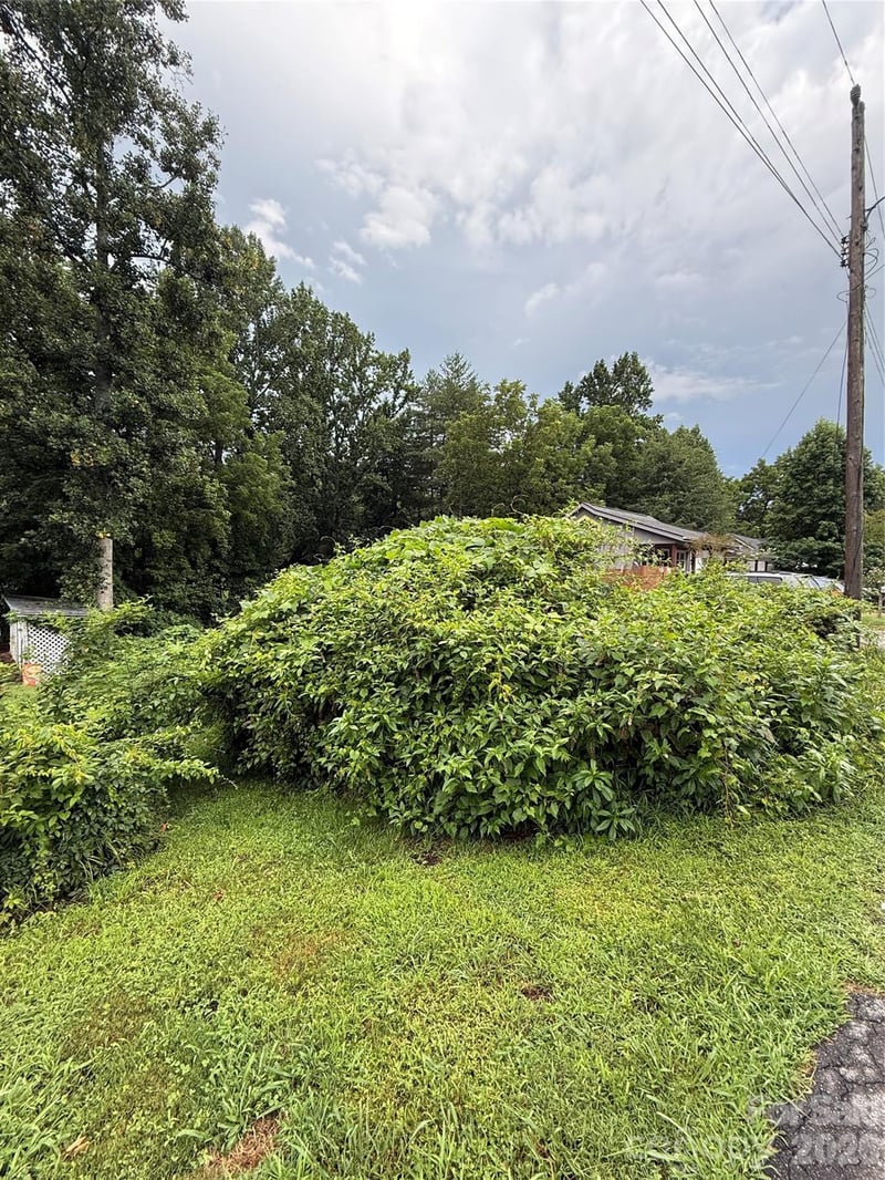 00000 Duckworth Ave #1, Brevard, NC 28712