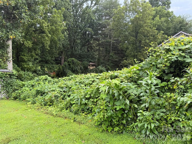 00000 Duckworth Ave #1, Brevard, NC 28712