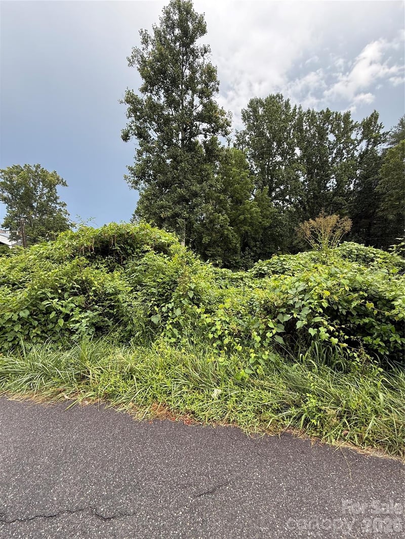 00000 Duckworth Ave #1, Brevard, NC 28712