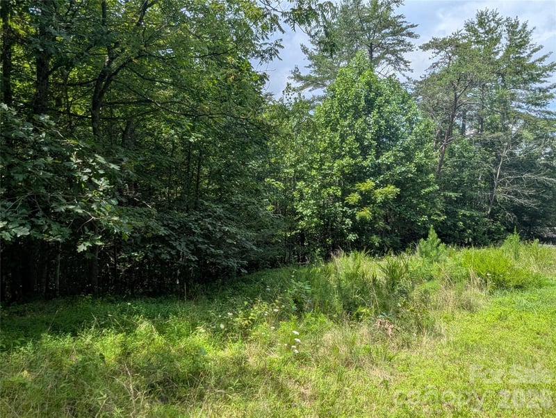 Austin Dr #13, Marshall, NC 28753