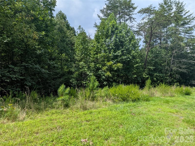 Austin Dr #13, Marshall, NC 28753