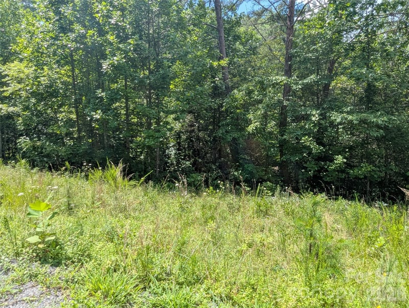 Austin Dr #13, Marshall, NC 28753