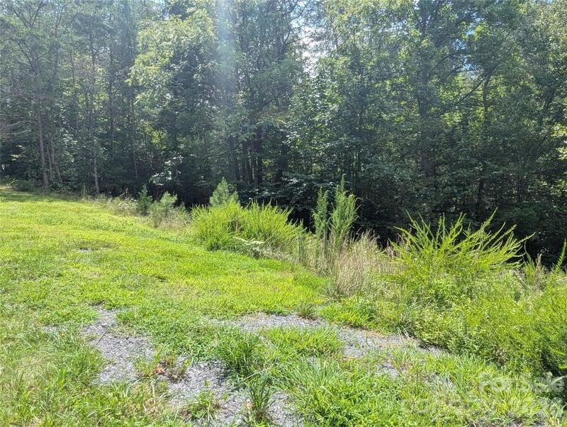 Austin Dr #13, Marshall, NC 28753