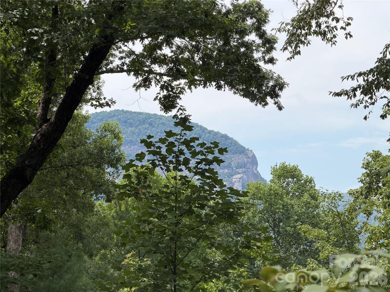 250 Luther Burbank Dr, Lake Lure, NC 28746