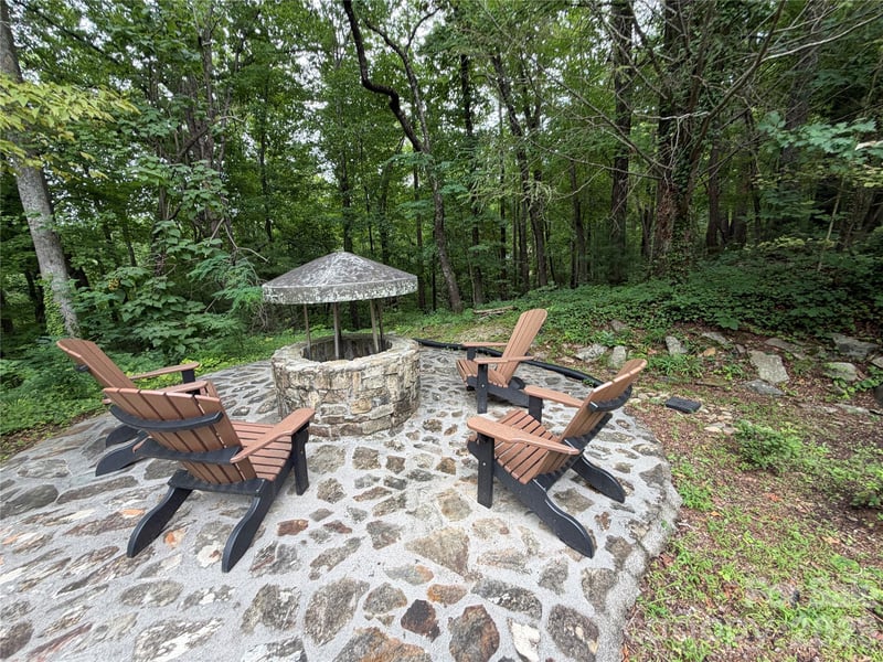 250 Luther Burbank Dr, Lake Lure, NC 28746