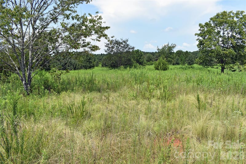 60 Malden Ct, Crouse, NC 28033